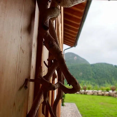 Almflair * Thiersee