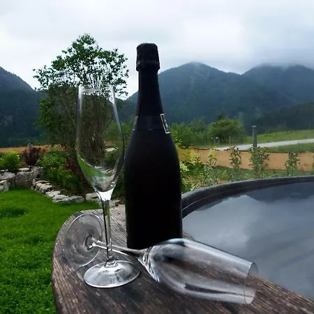 Apartmán Almflair *