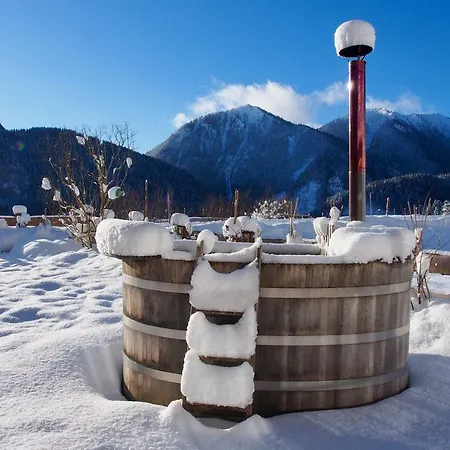 Appartement Almflair Thiersee