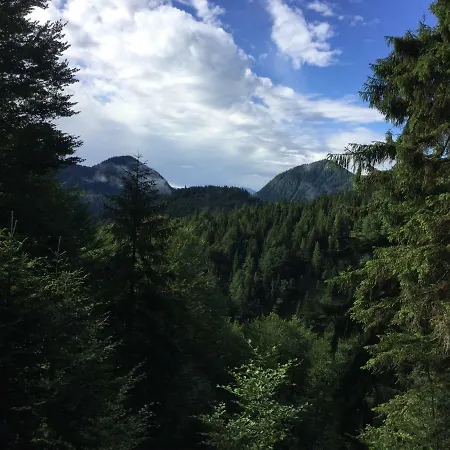 Apartment Almflair *