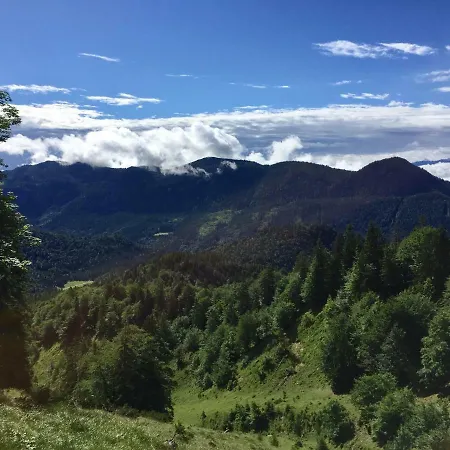 Almflair Thiersee