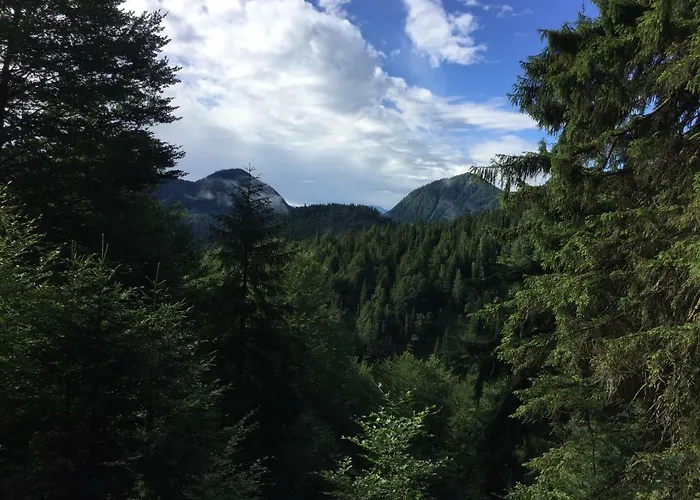 Appartamento Almflair *